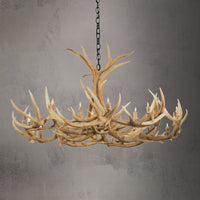12 Light Single Tier Elk Antler Chandelier SKU - 89