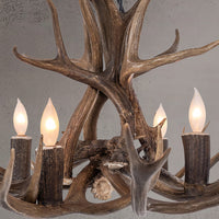 4 Light Mule Deer Antler Chandelier - AWC-9