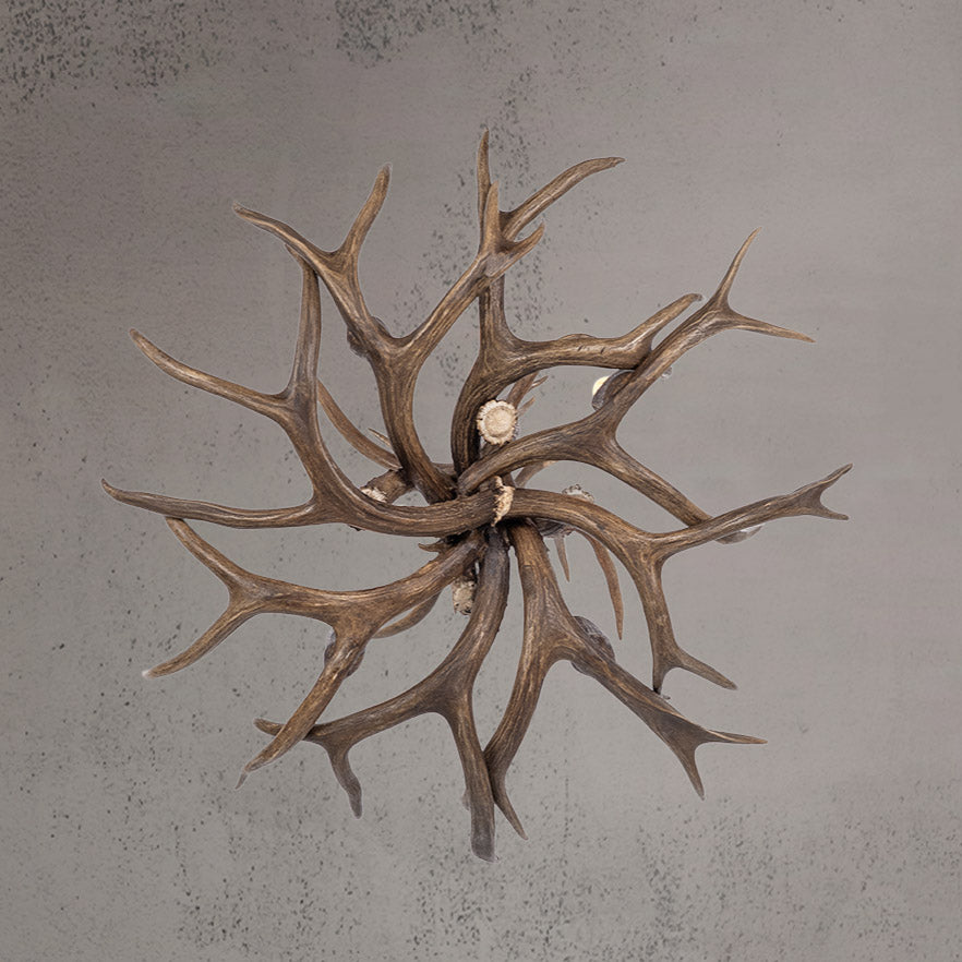 4 Light Mule Deer Antler Chandelier - AWC-9